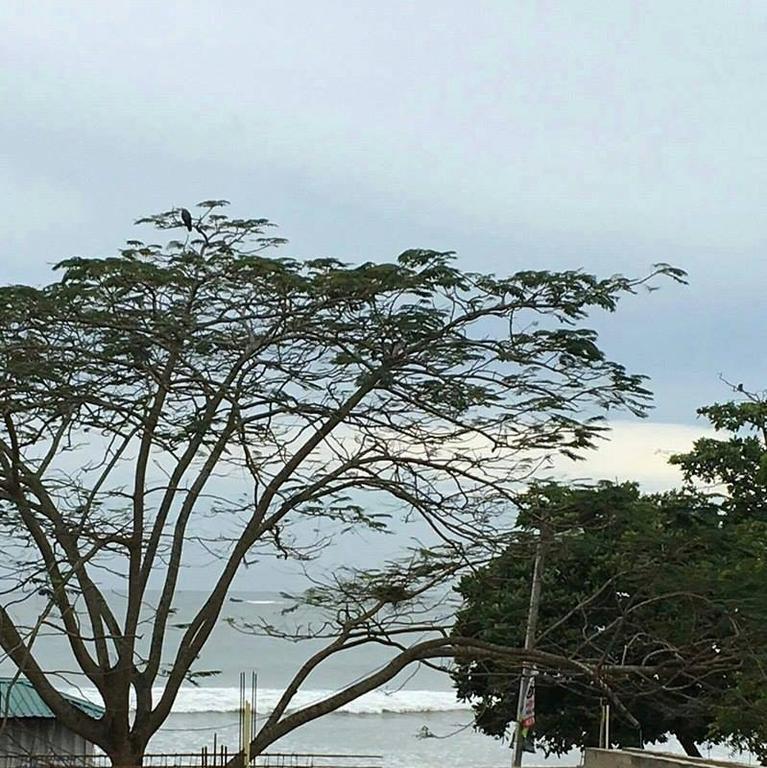 Gold Coast Resort Weligama Exteriör bild